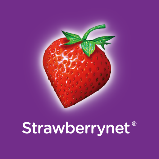strawberrynet